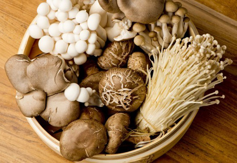 Mẹo bảo quản nấm tươi lâu và bảo đảm dinh dưỡng