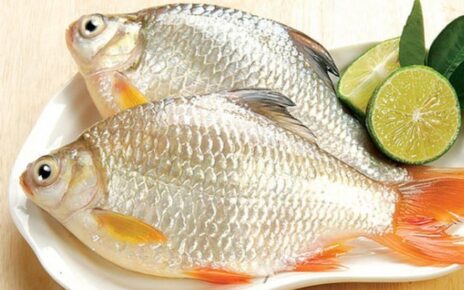 Mùi tanh cá khi nấu làm sao để khử hết được