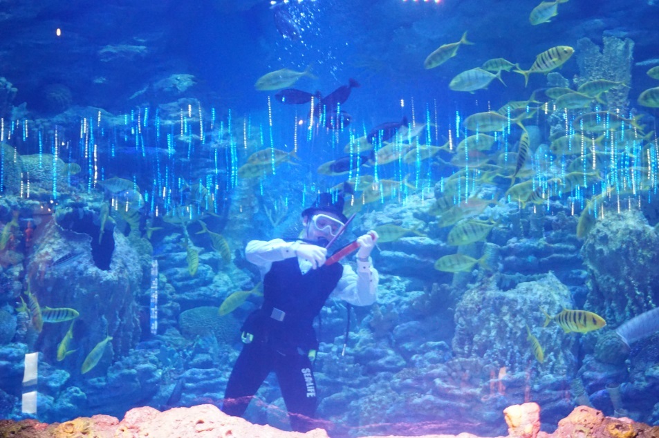 Thủy cung Busan Aquarium