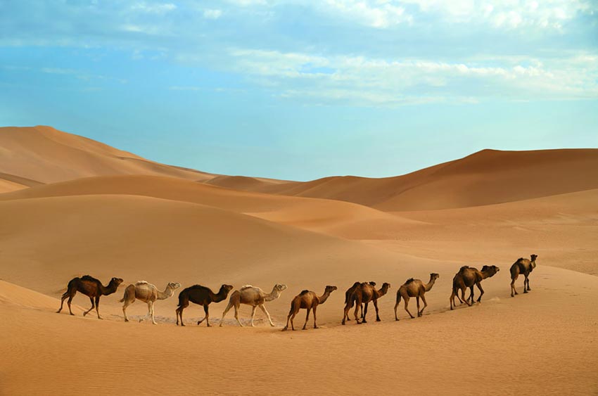 Jaisalmer